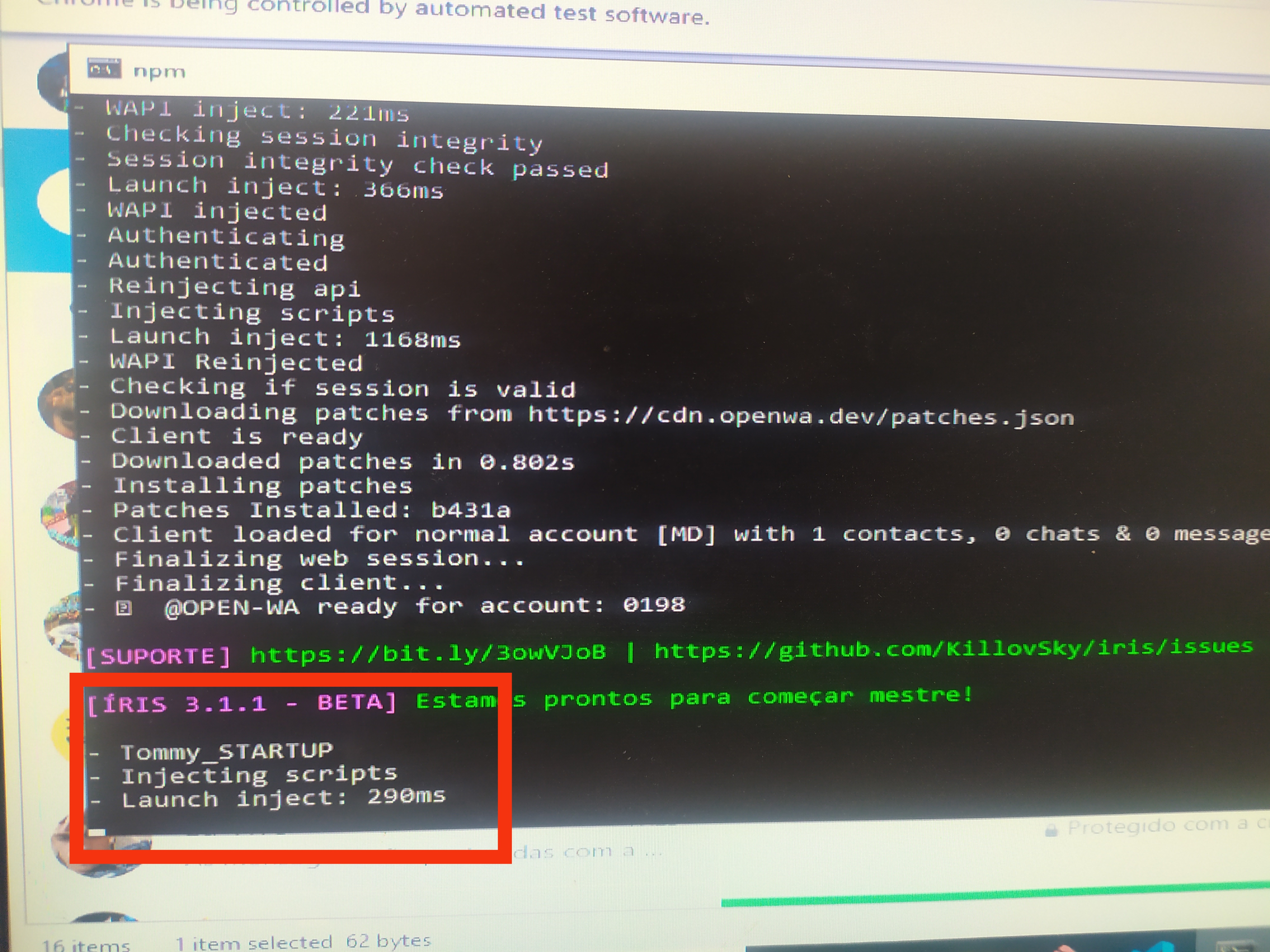 Iris_STARTUP · Issue #551 · KillovSky/Iris · GitHub