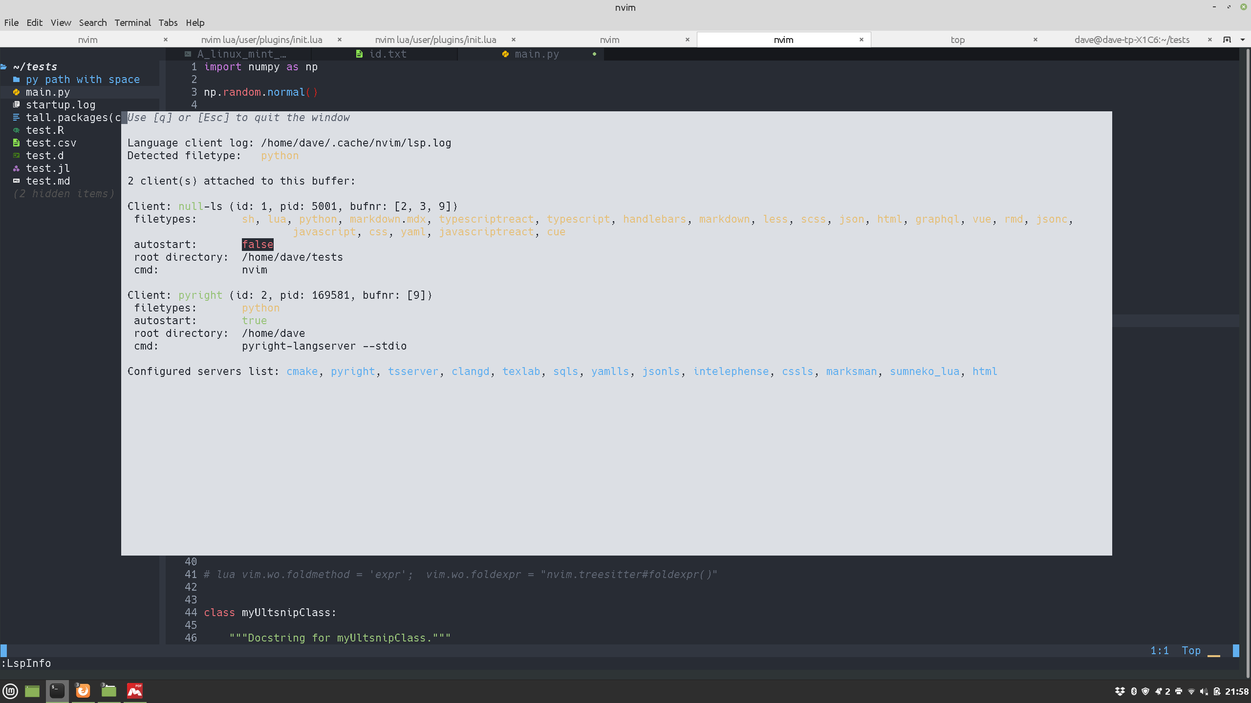 pyright does not work while other LSPs work · Issue #984 · AstroNvim ...
