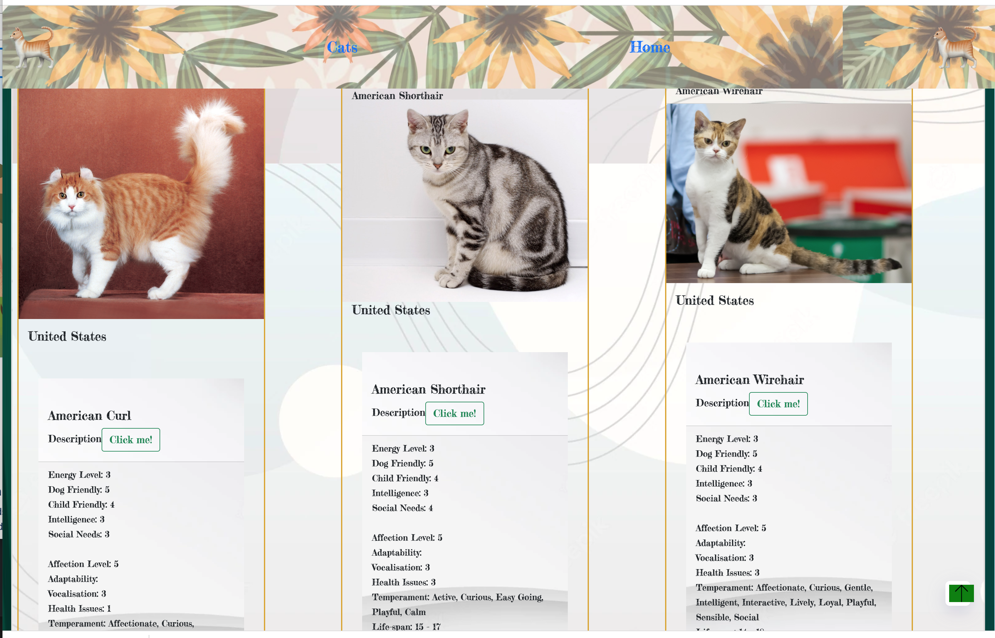 GitHub - maurice-35/cats-app-plus