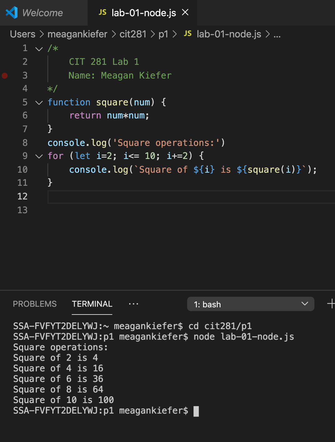 GitHub - meagankiefer2/cit281-lab1 · GitHub