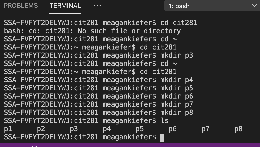 GitHub - meagankiefer2/cit281-lab1 · GitHub