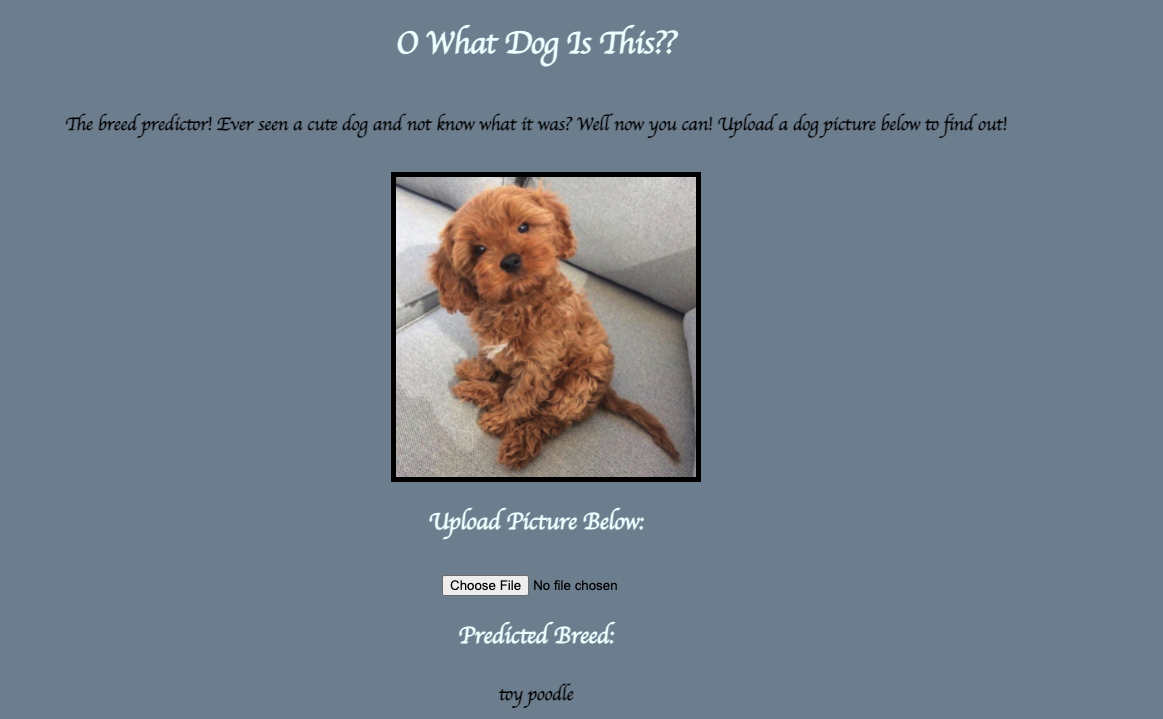 GitHub - sabrinawhite4/the-dog-zone-project