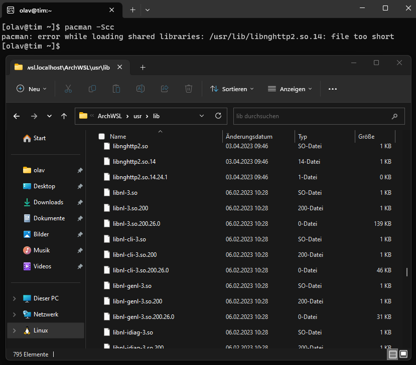 After pacman update I see no files at all · Issue #318 · yuk7/ArchWSL ...