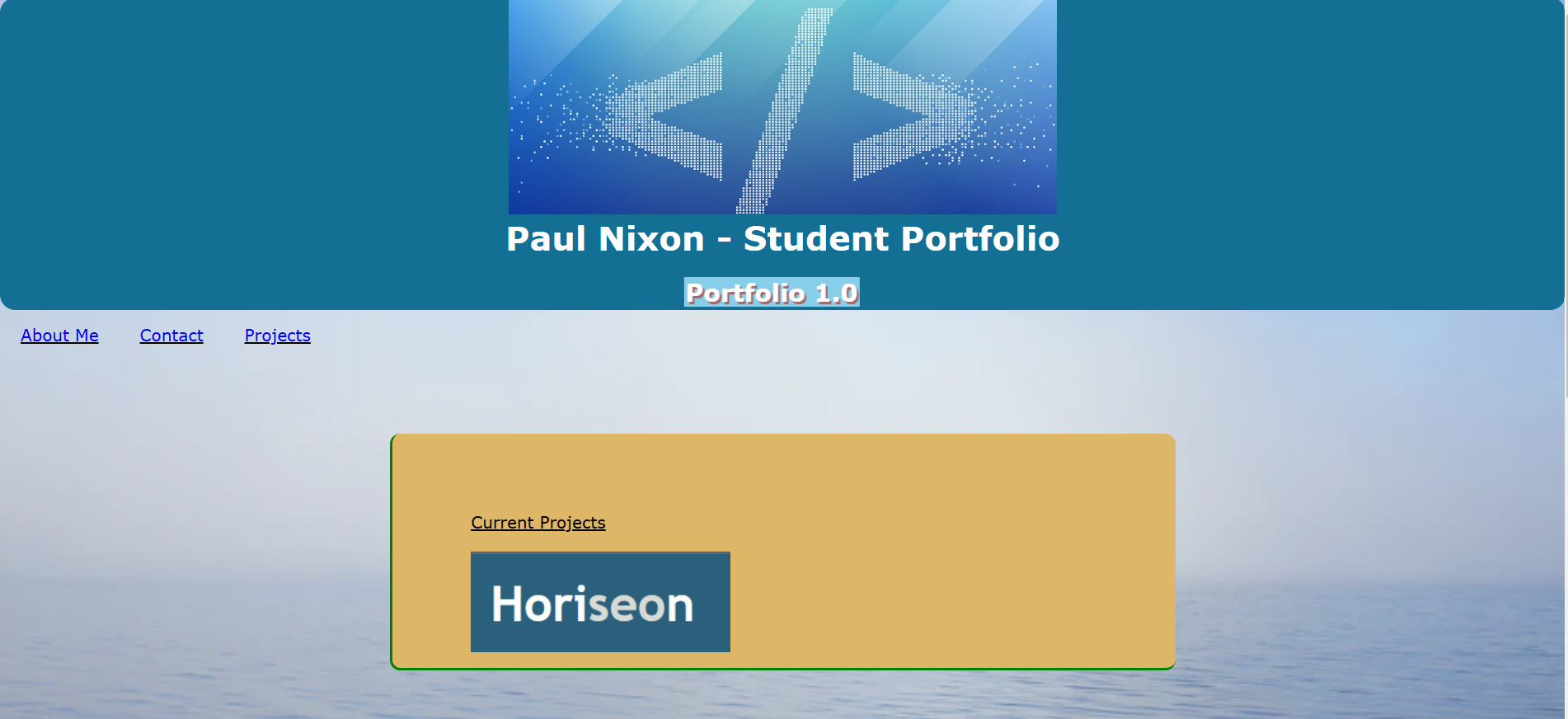 GitHub - PaulNXN1/my-portfolio