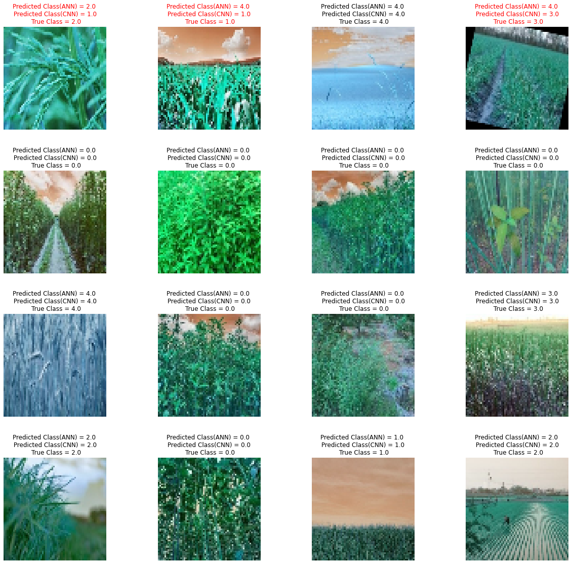 GitHub - d3ath-add3r/Crops_Image_Classifcation: We will develop a a ...