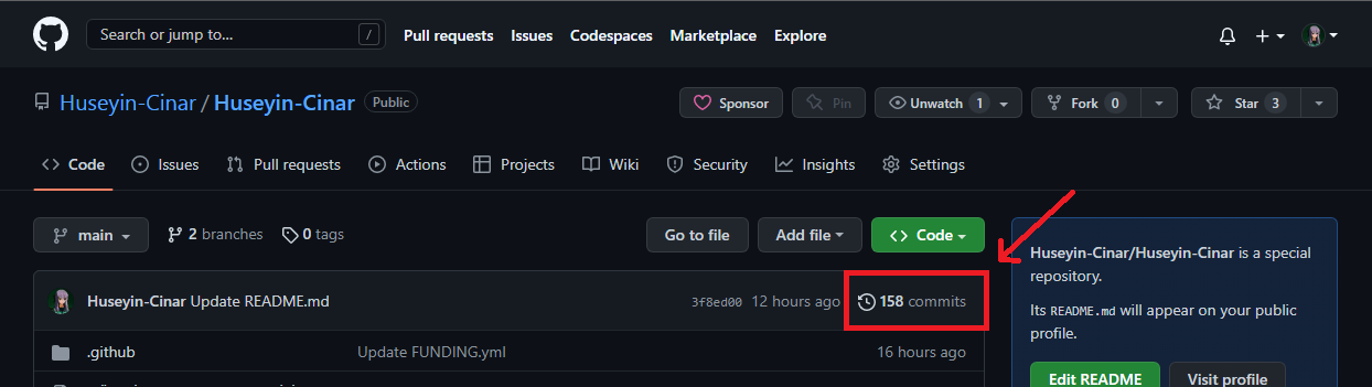 I have lost my Unity Screen and cant revert back to an old commit ...