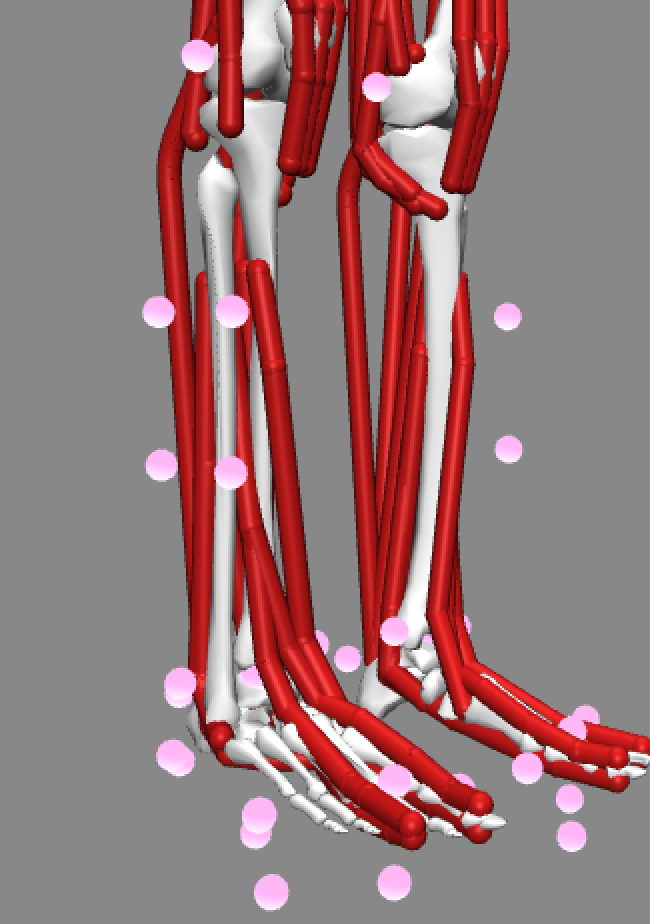 Geometry is incorrectly displayed after using Scale Tool when using a