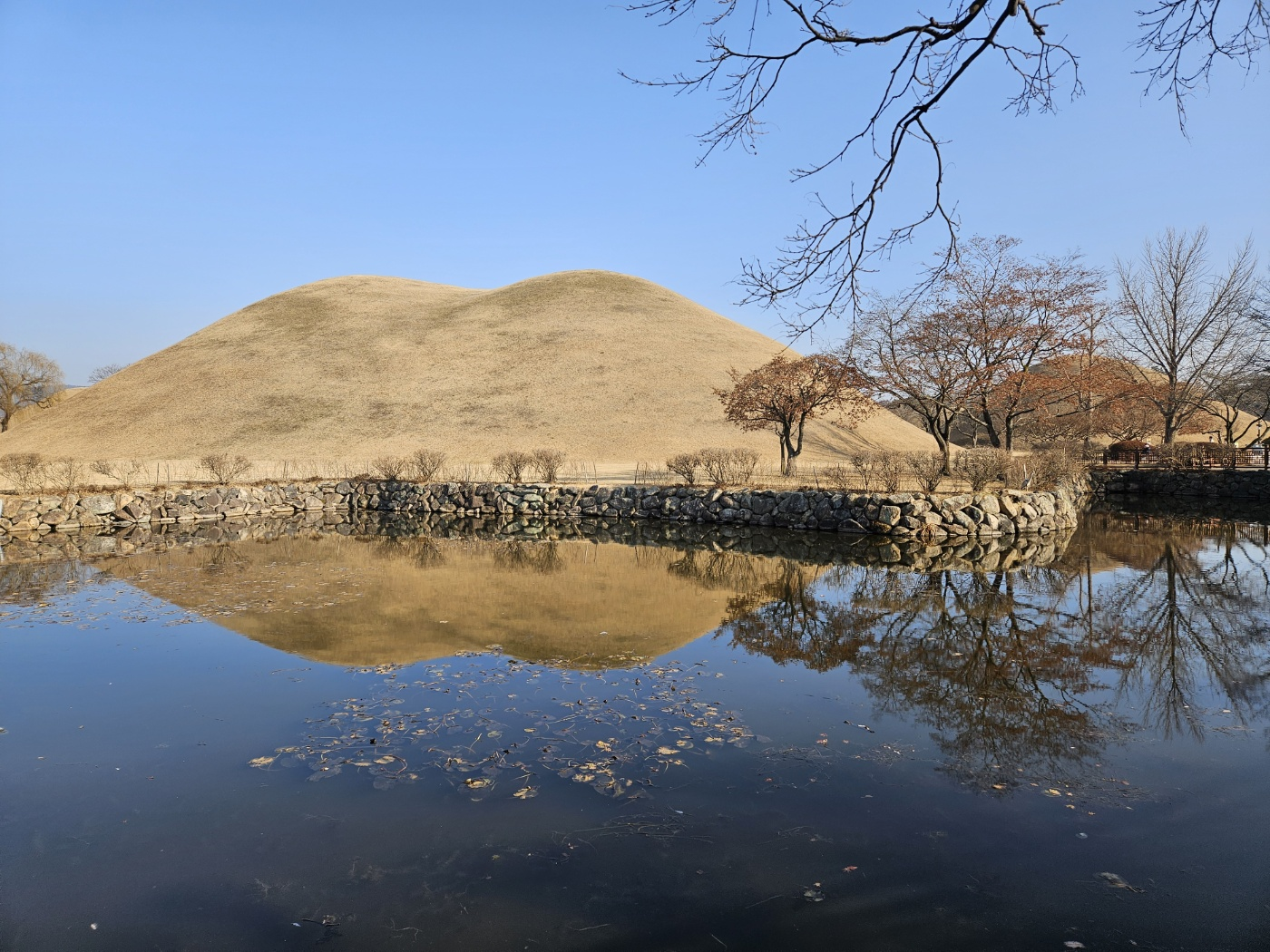 293582292 ad4bbc5f 69c5 4f0d a2ed