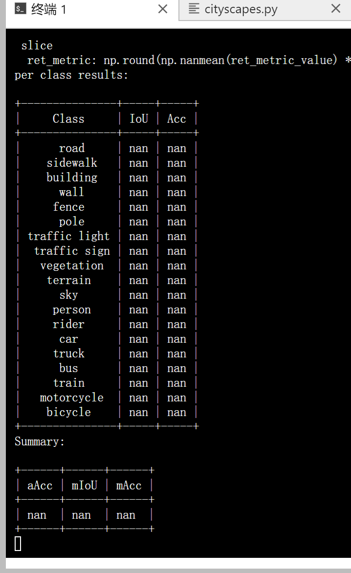 When tested on the Cityscapes dataset, the resultant output is nan ...