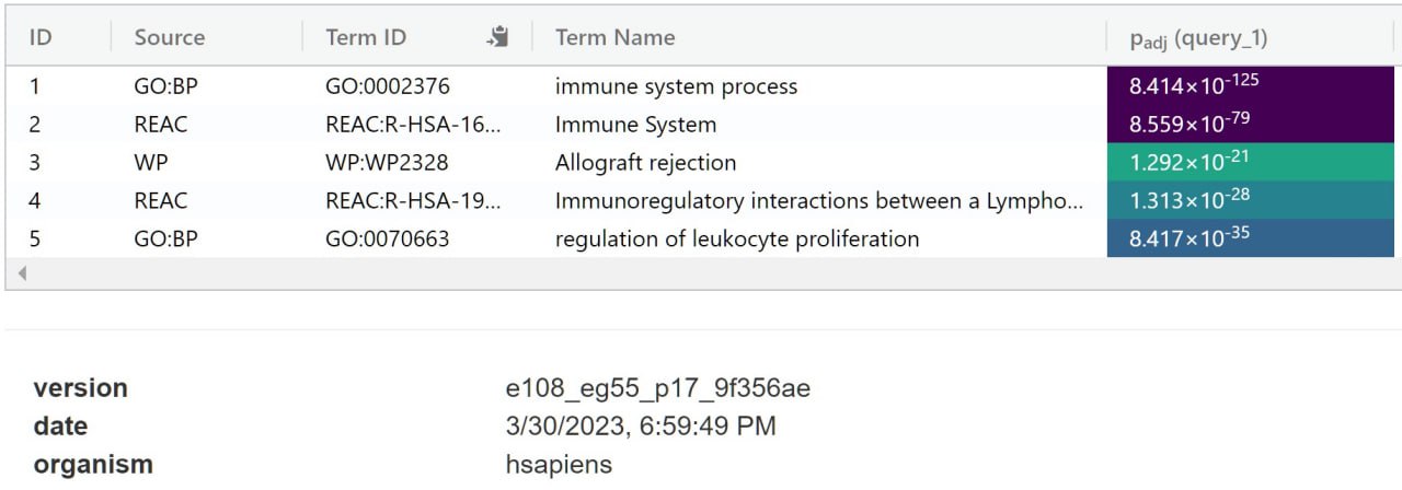 IMAGE 2023-03-30 23:22:29