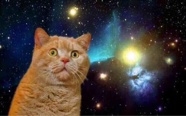 space_cat