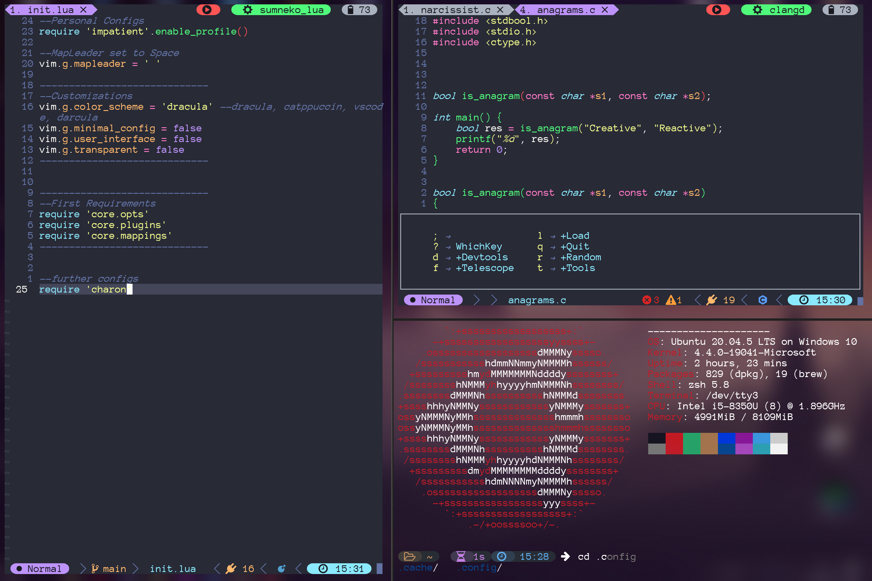 GitHub - PaltosLP/NeovimConfig: Some neovim stuff.