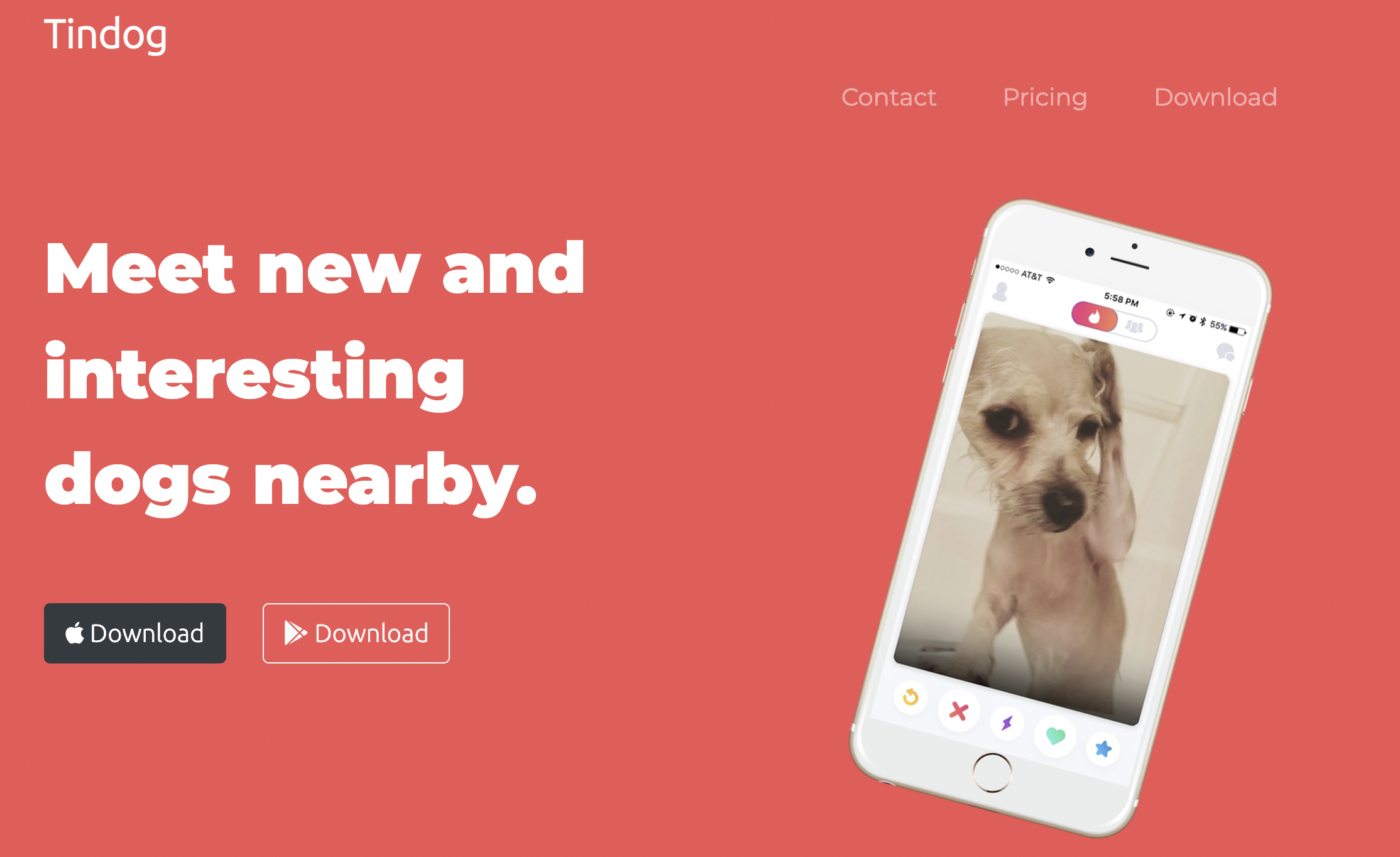 GitHub - ShazanRizvi/Tindog: Tindog website frontend built while doing ...
