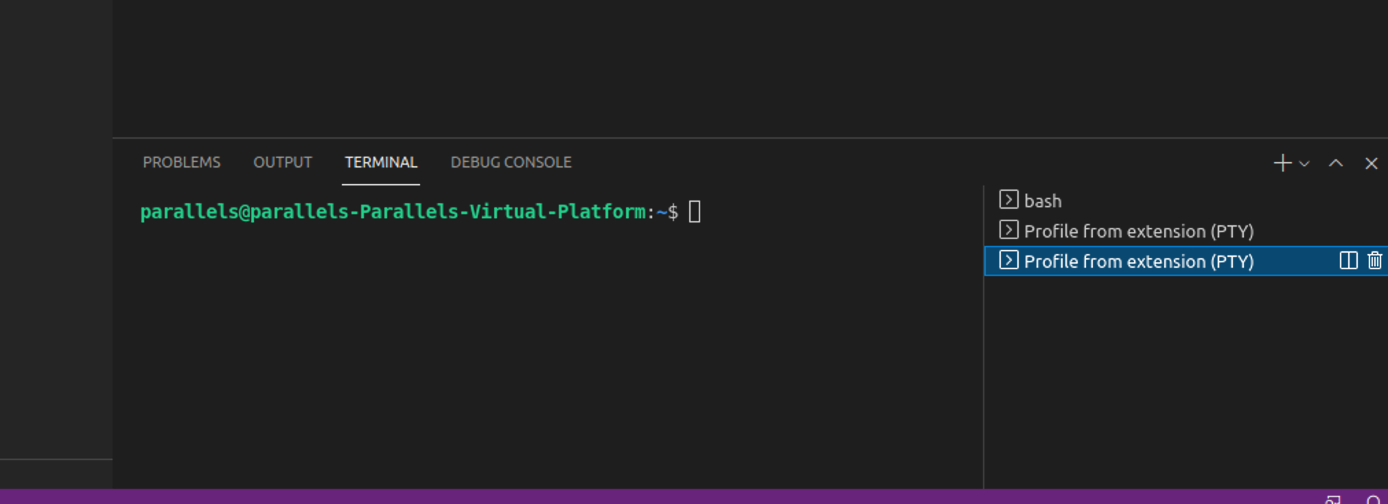 Contributing a PTY profile causes two terminals to be spawned · Issue ...