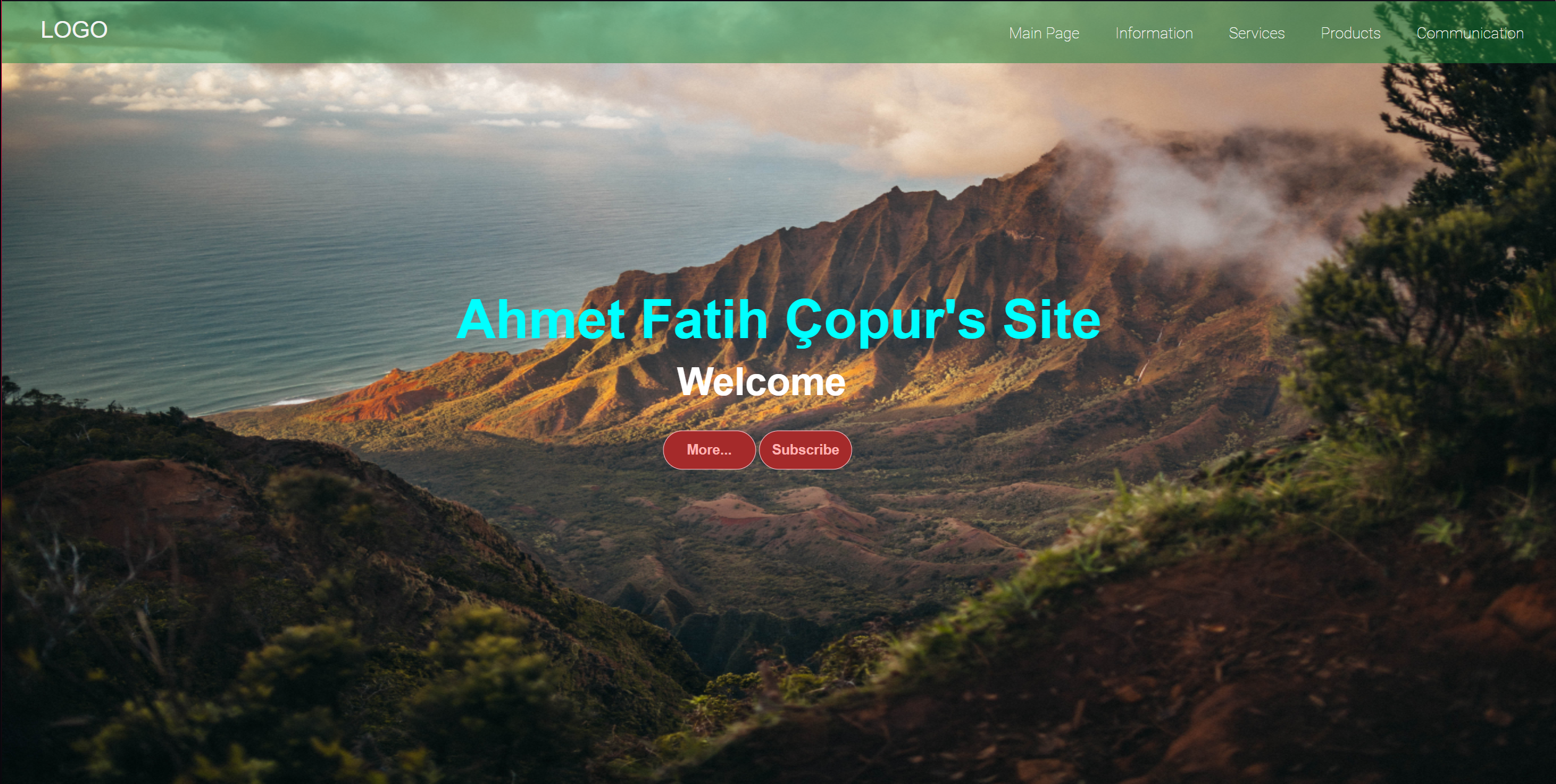GitHub - Vinexy/Basic-WebPage-Sample-CSS-HTML: basic sample website ...