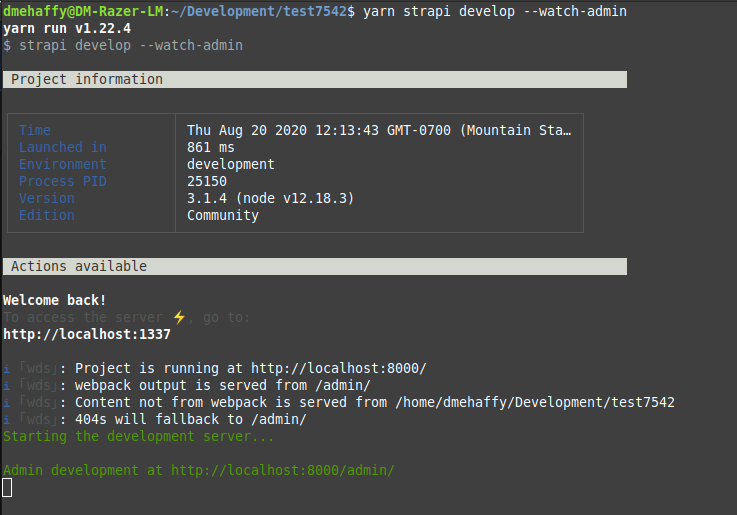 yarn strapi develop watchadpi child compilation failed · Issue