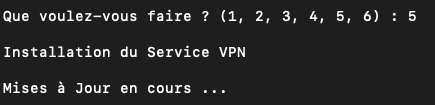 VPN