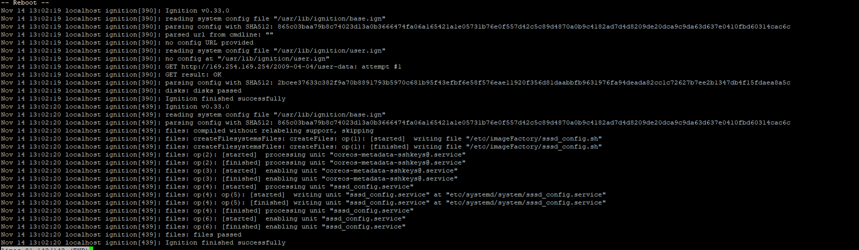 service created by ignition is not started on machine boot up · Issue