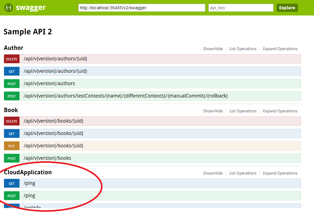 OWIN Web API - VersionedAPIExplorer registers additional routes · Issue ...
