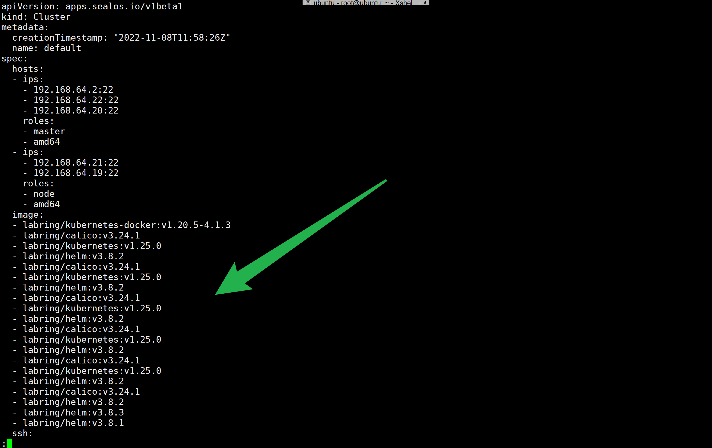 BUG: repeated mirror images retry run · Issue #2066 · labring/sealos ...