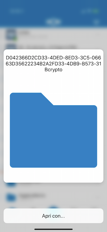 19-03-06 12-15-19 2687