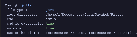 Jdtls error · Issue #294 · mfussenegger/nvim-jdtls · GitHub