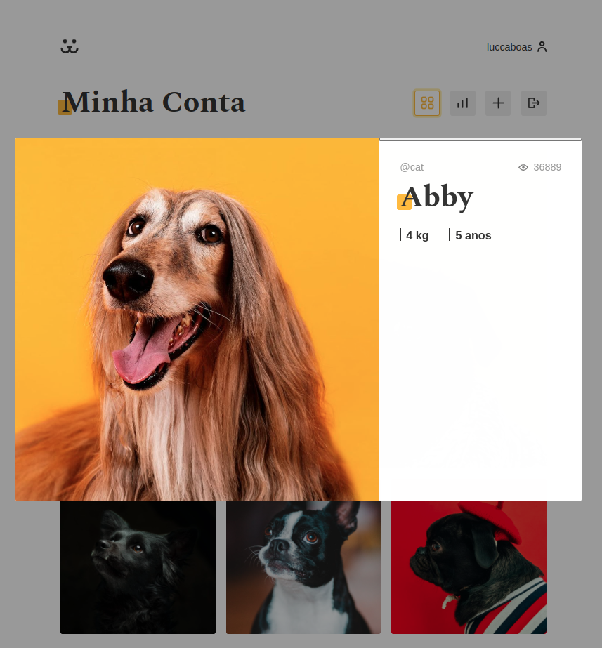 GitHub - Luccacvb/Dogs: Study project, Instagram for dogs