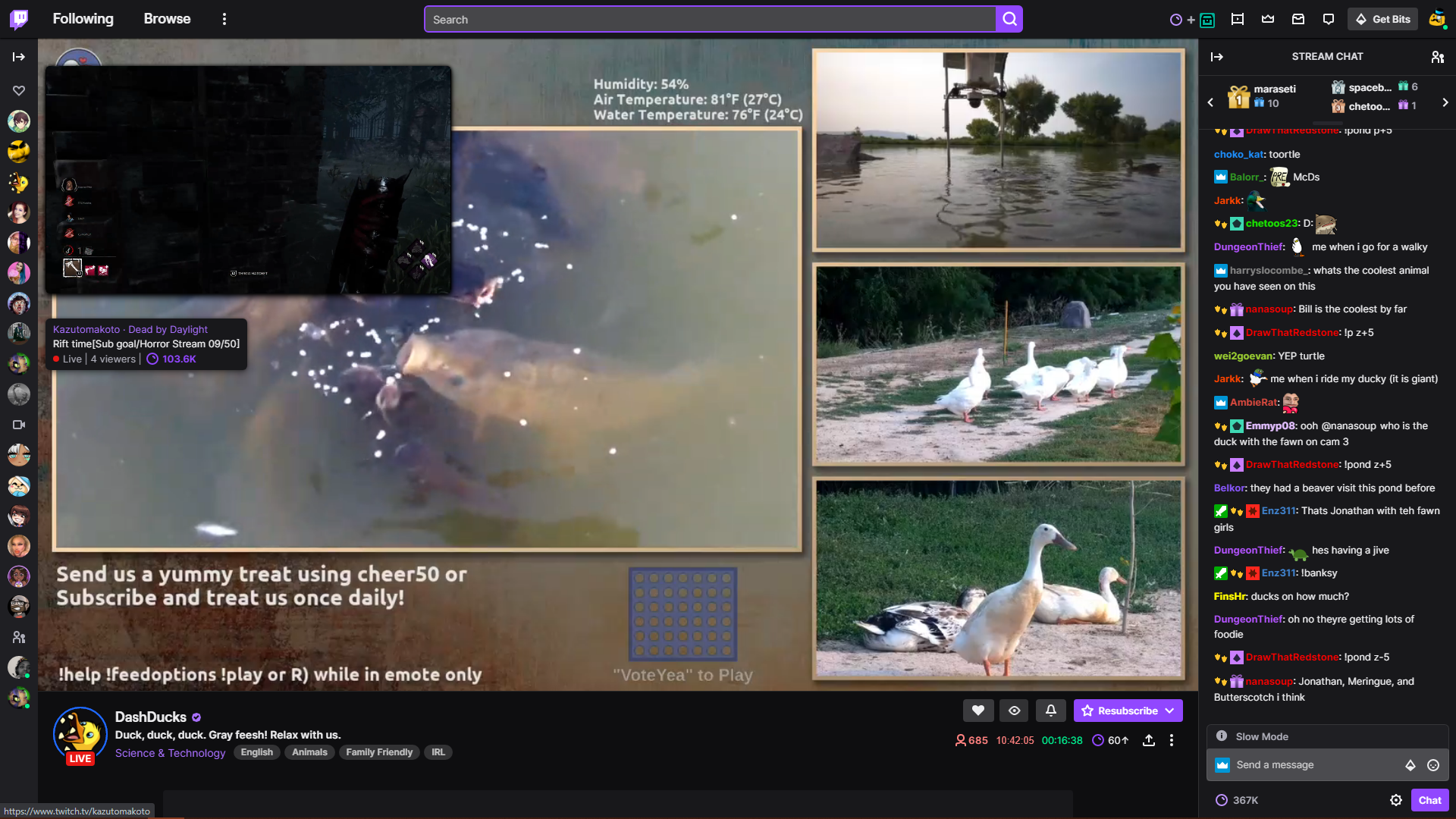 stream-preview