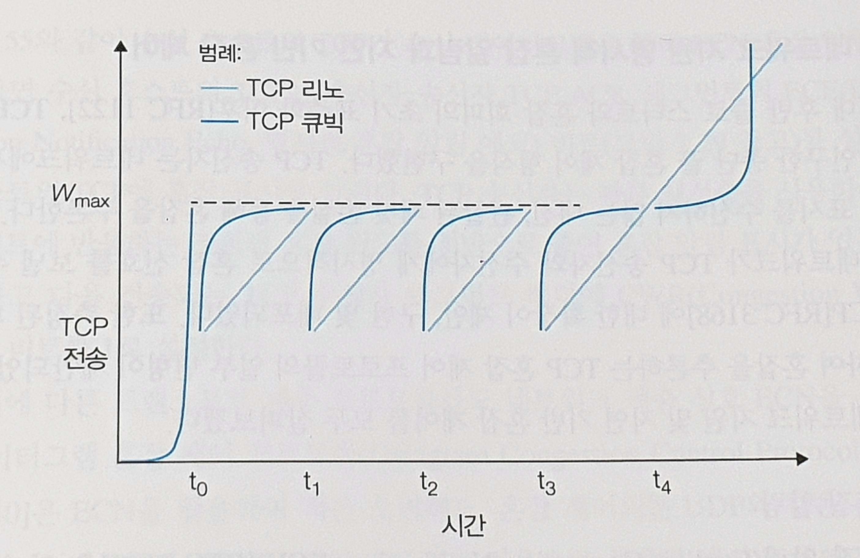 TCP 리노와 TCP 큐빅