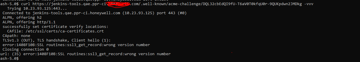 Waiting for http-01 challenge propagation: failed to perform self check ...