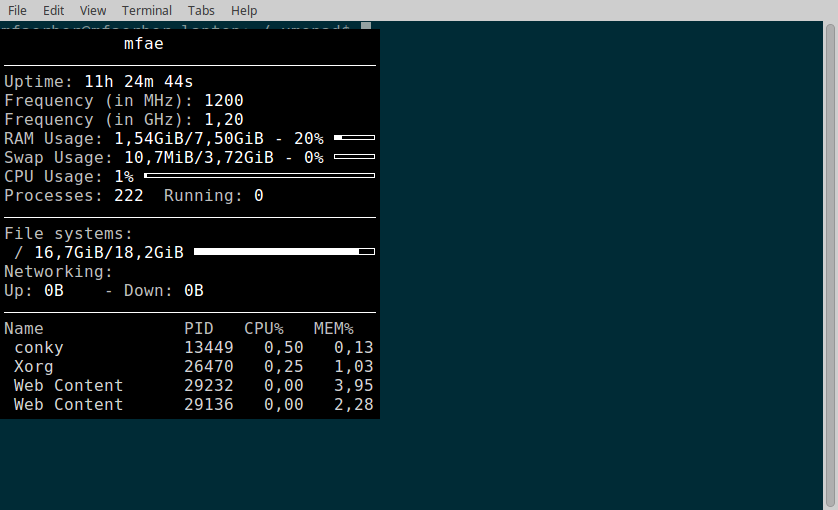 A screenshot of conky being drawn above a terminal window.