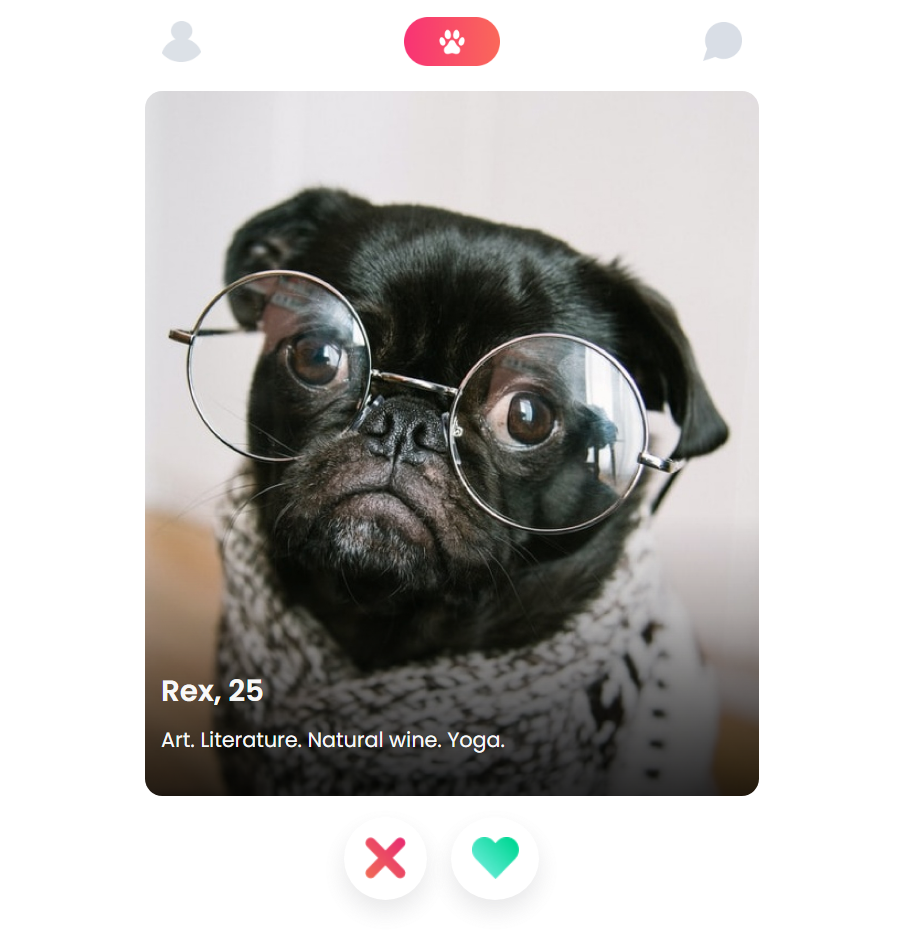 GitHub Bugstacker/TinDog A tinder application for Dogs