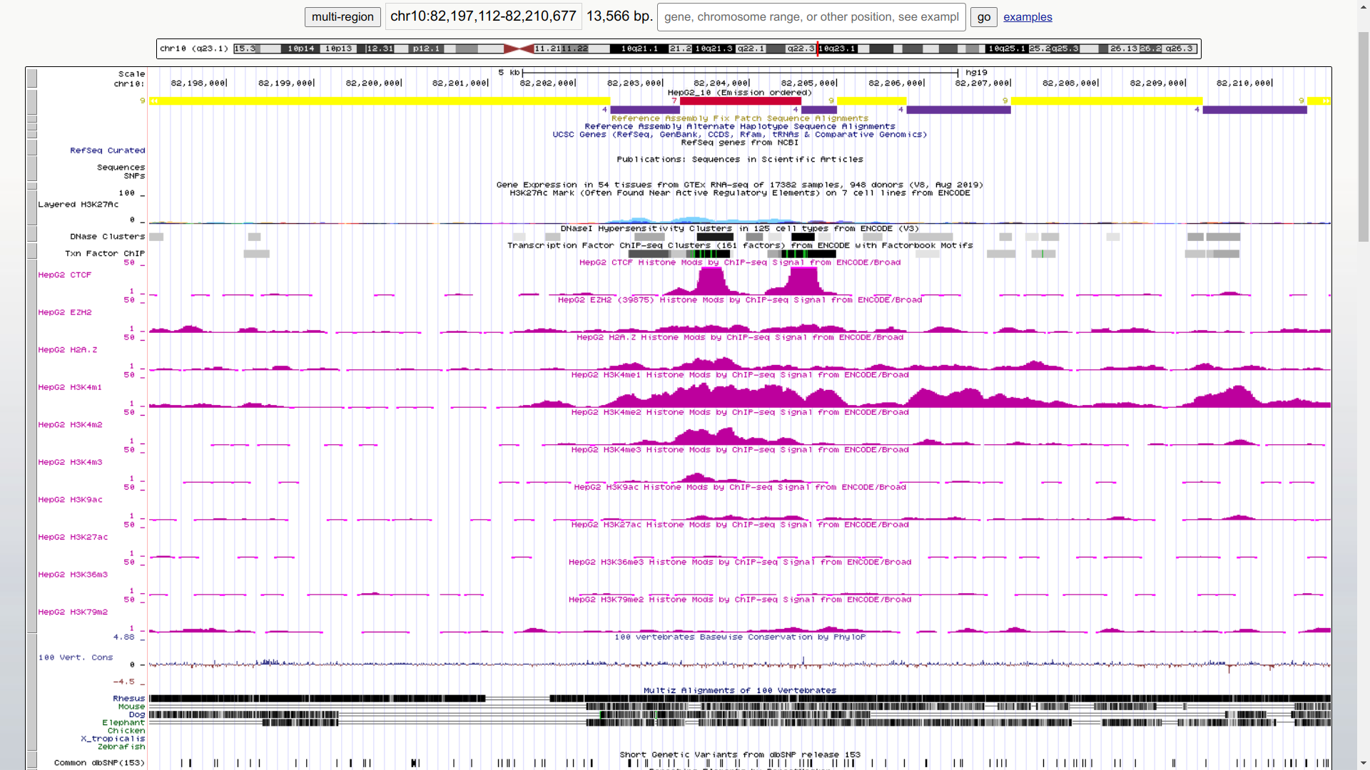 GitHub - prometneus/hse_hw3_chromhmm