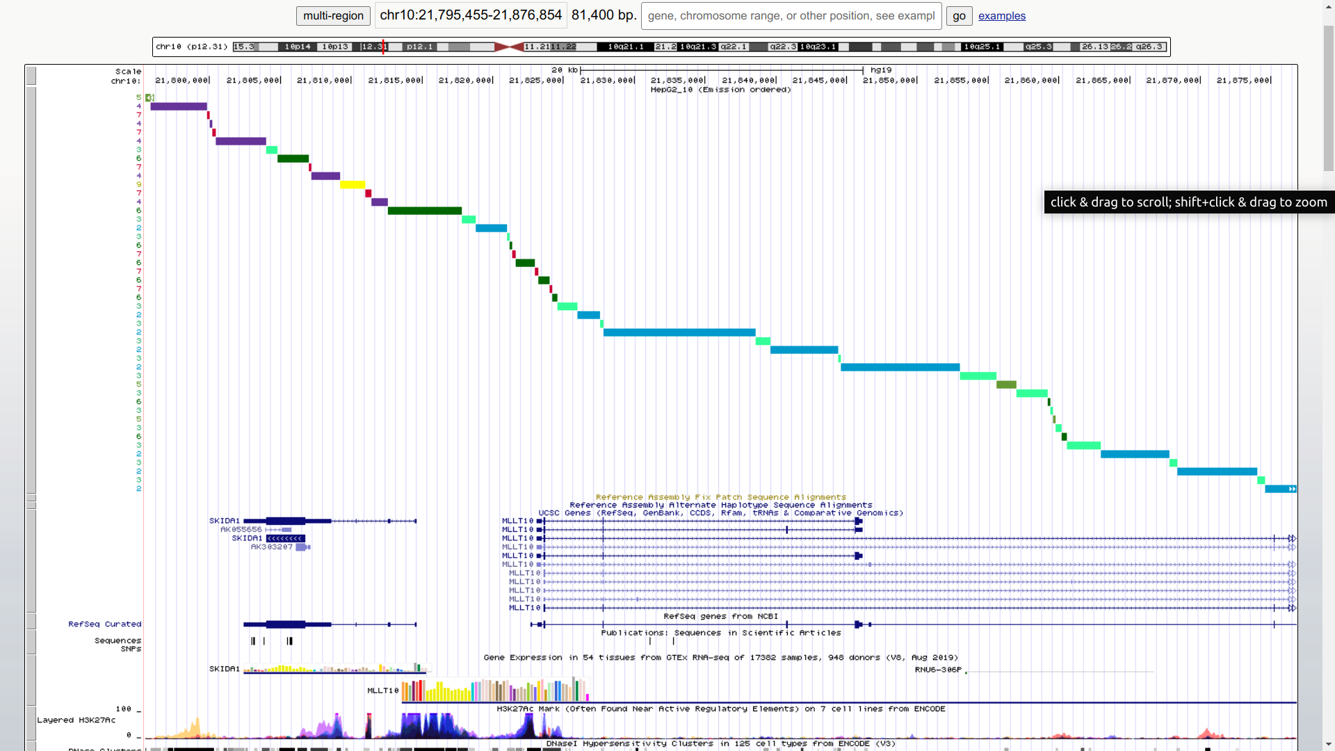 GitHub - prometneus/hse_hw3_chromhmm