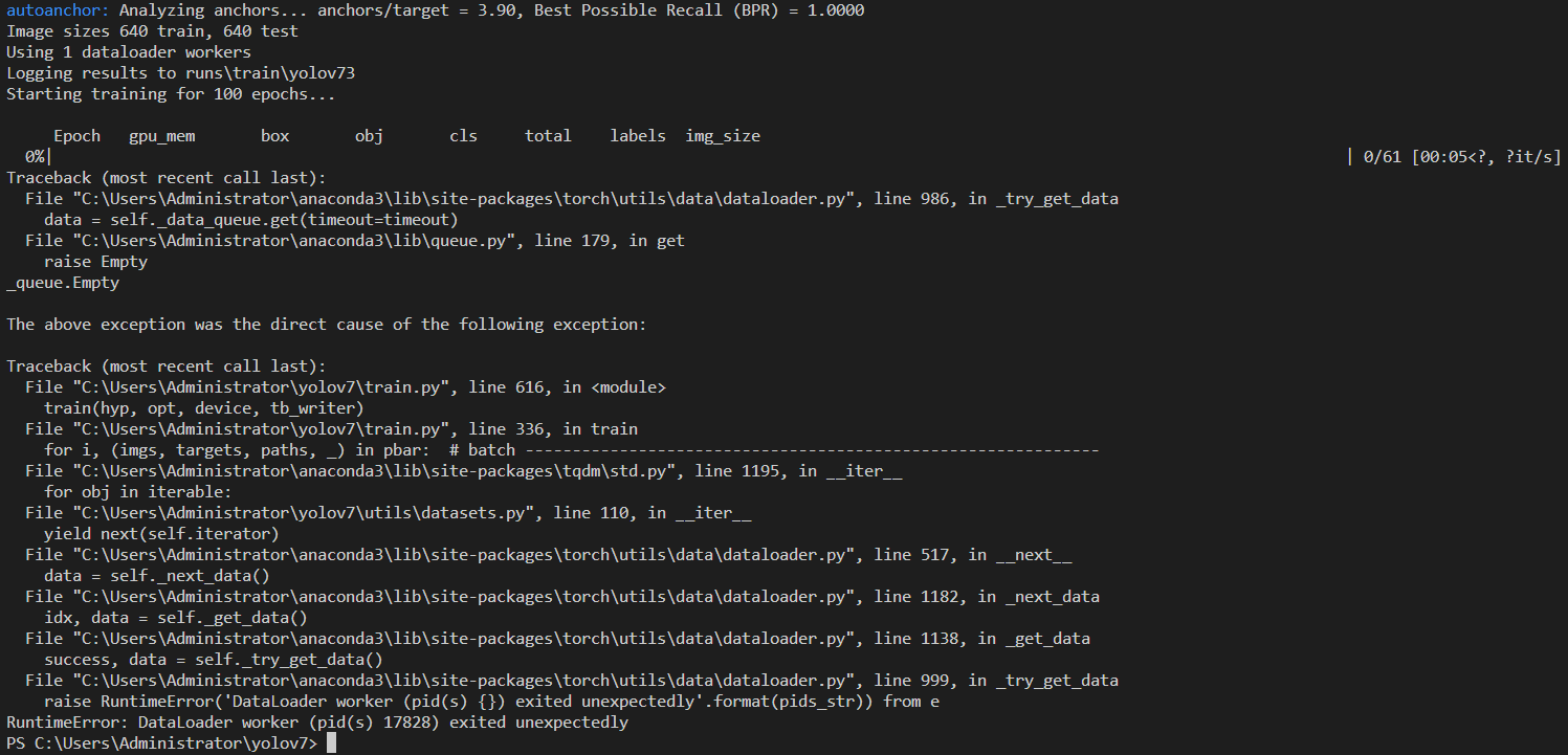 How solve RuntimeError: DataLoader worker (pid(s) 1676) exited ...