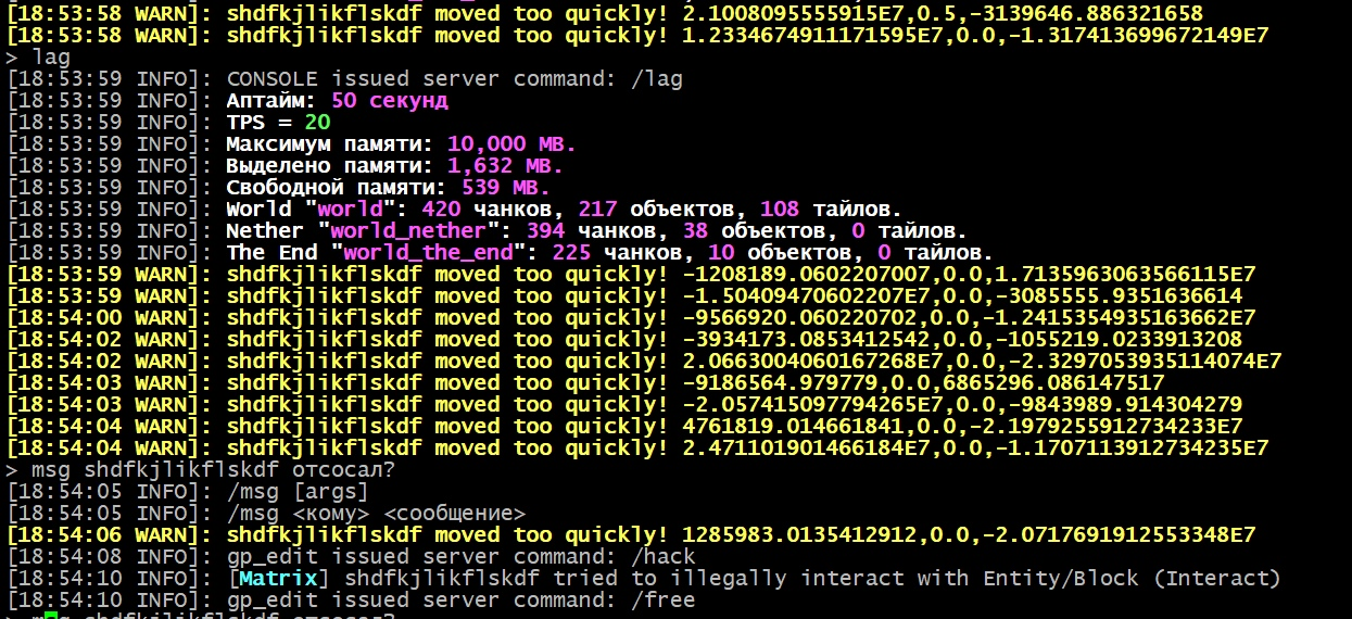 Server crashes a few times a day with the same chunk problem · Issue ...