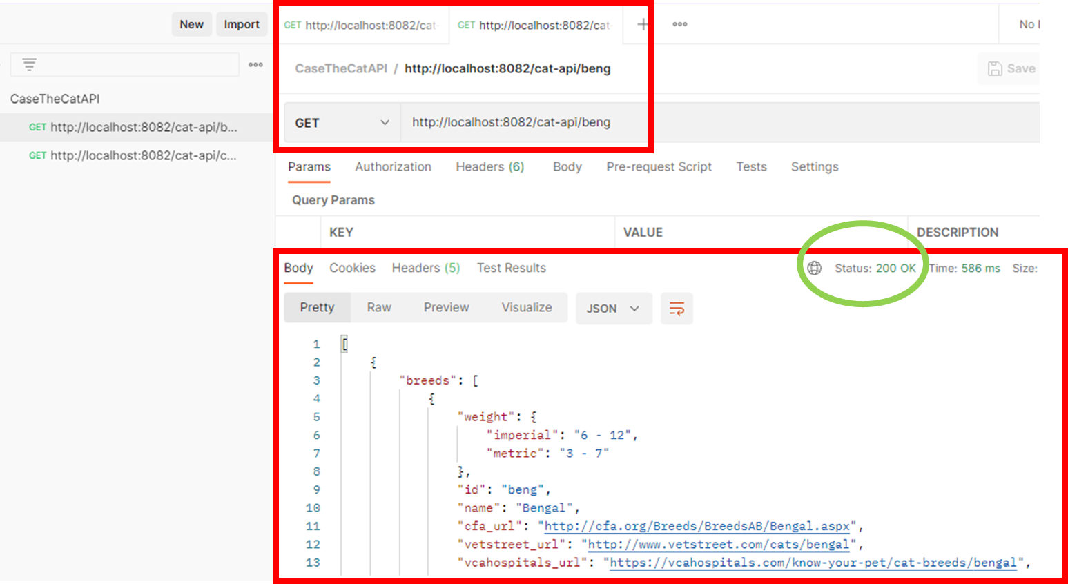 Cats Repository Api GitHub - raissamlima/CaseTheCatAPI-