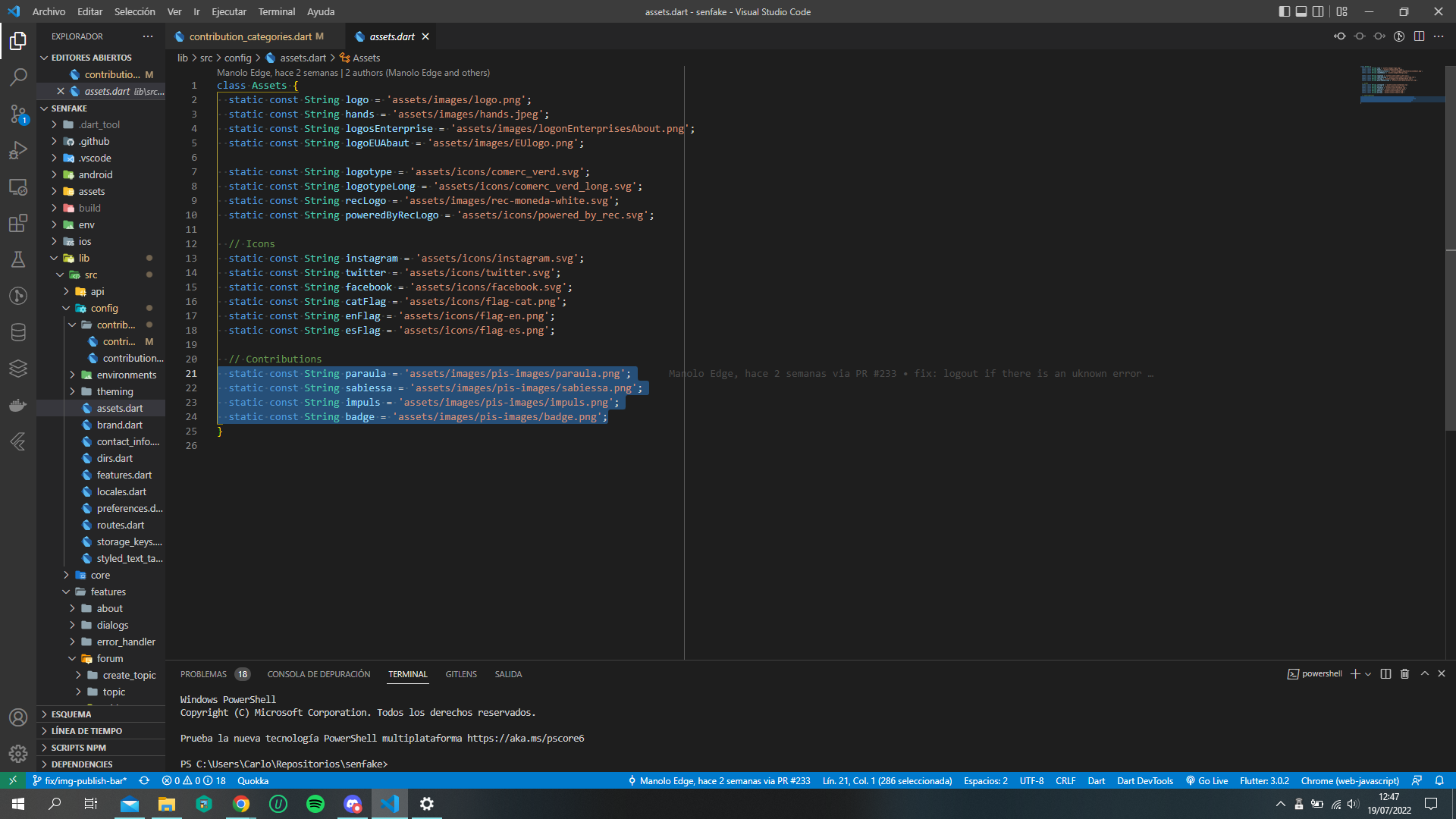 Extension error / Error that should not happen · Issue #4063 · Dart ...