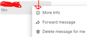 Received Time Sent / Received time is displayed wrong on Windows · Issue #5370 ...