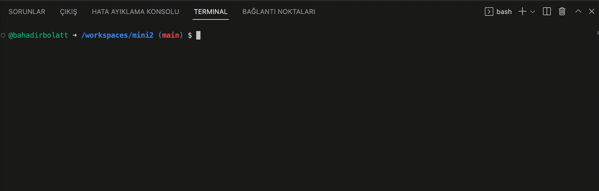 GitHub - bahadirbolatt/minishell: As beautiful as a shell 🐚 · GitHub