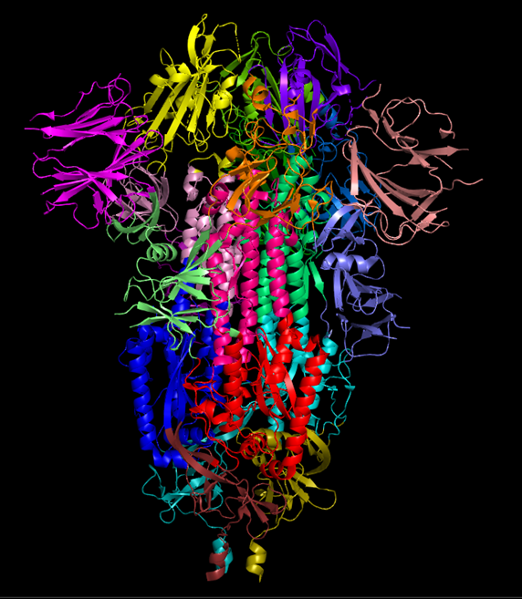 GitHub - UgoLomoio/PCN-Miner: Protein Contact Network Analysis · GitHub