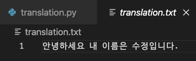 Python에서 Google Translate API로 텍스트 파일 번역하기 on Mac