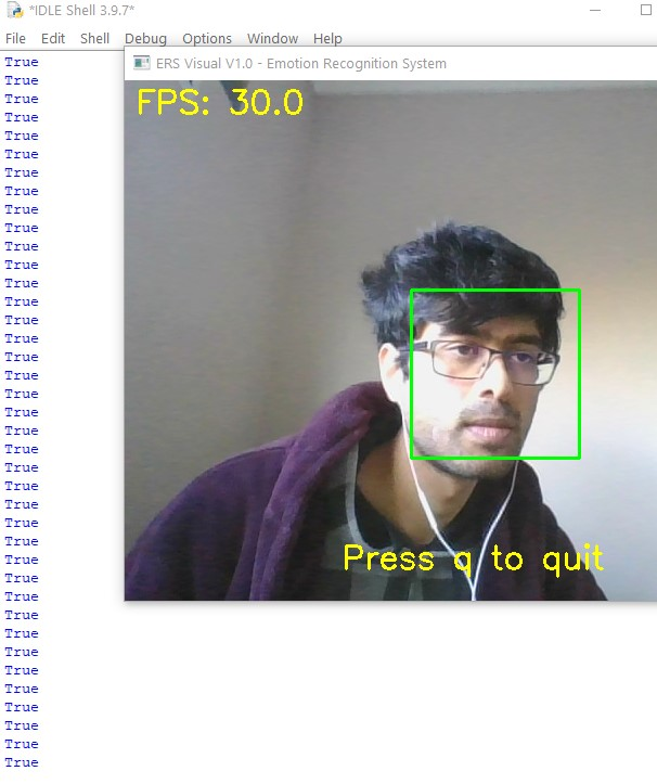 Emotion Detection Not Working · Issue #383 · serengil/deepface · GitHub