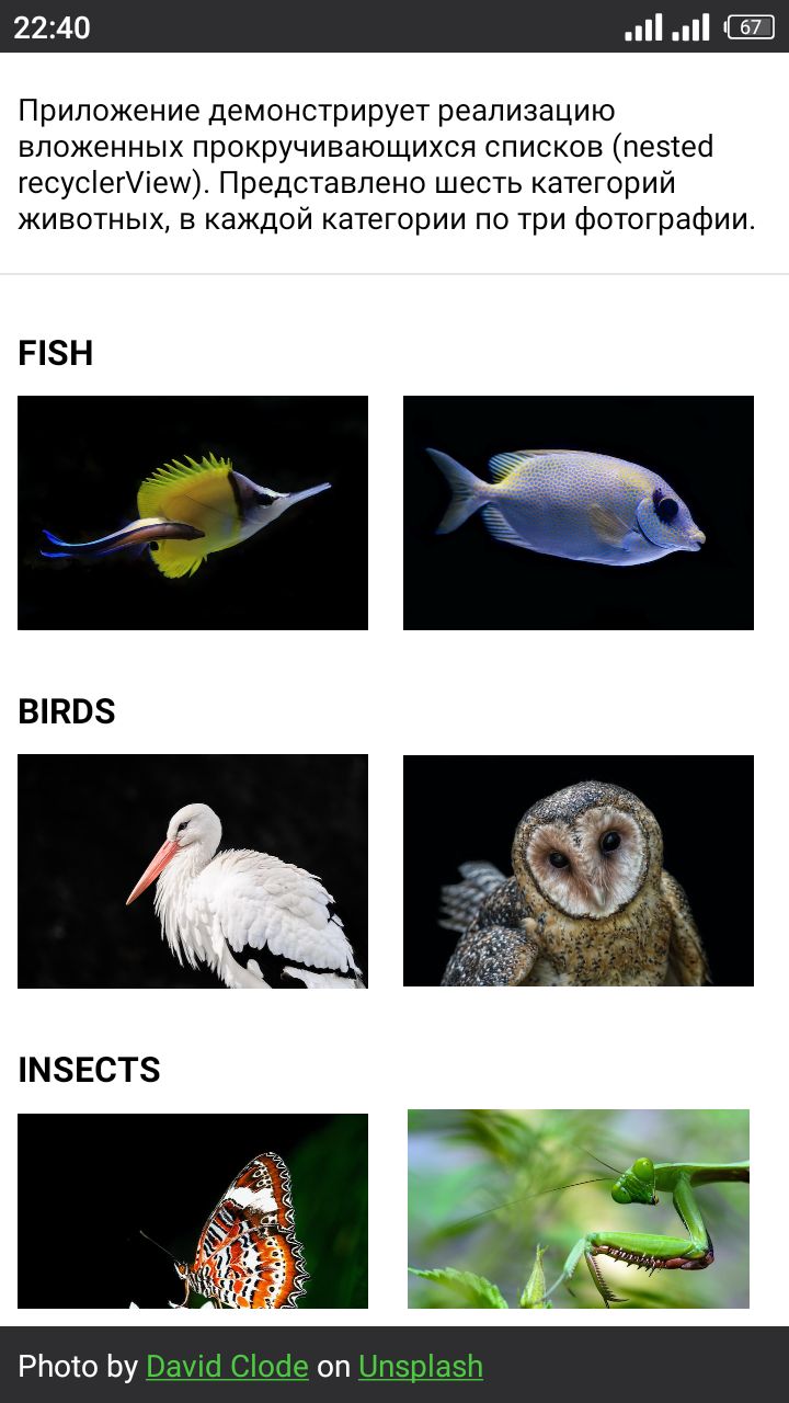 GitHub - OlyaAnv/Animals: :owl: :tropical_fish: :lizard:Приложение с ...