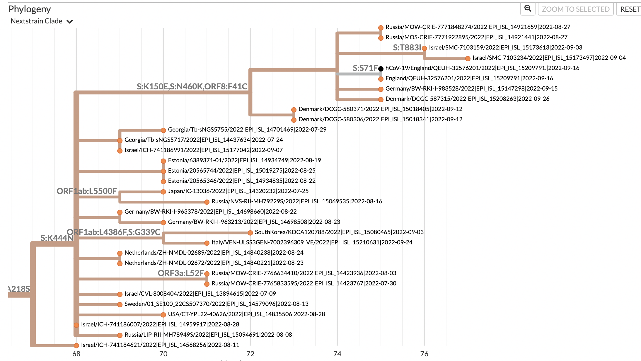 New potential BA.5.1 + ORF1b:N1025S lineage with N_A218S + S:K444N S ...
