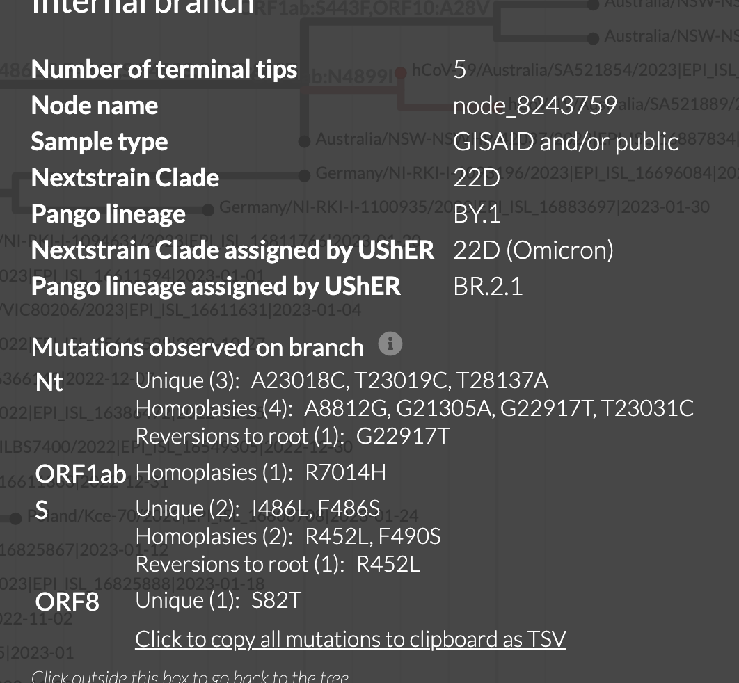Possible recombinant lineage between BR.2.1 and CJ.1 (or XBF or XBK ...