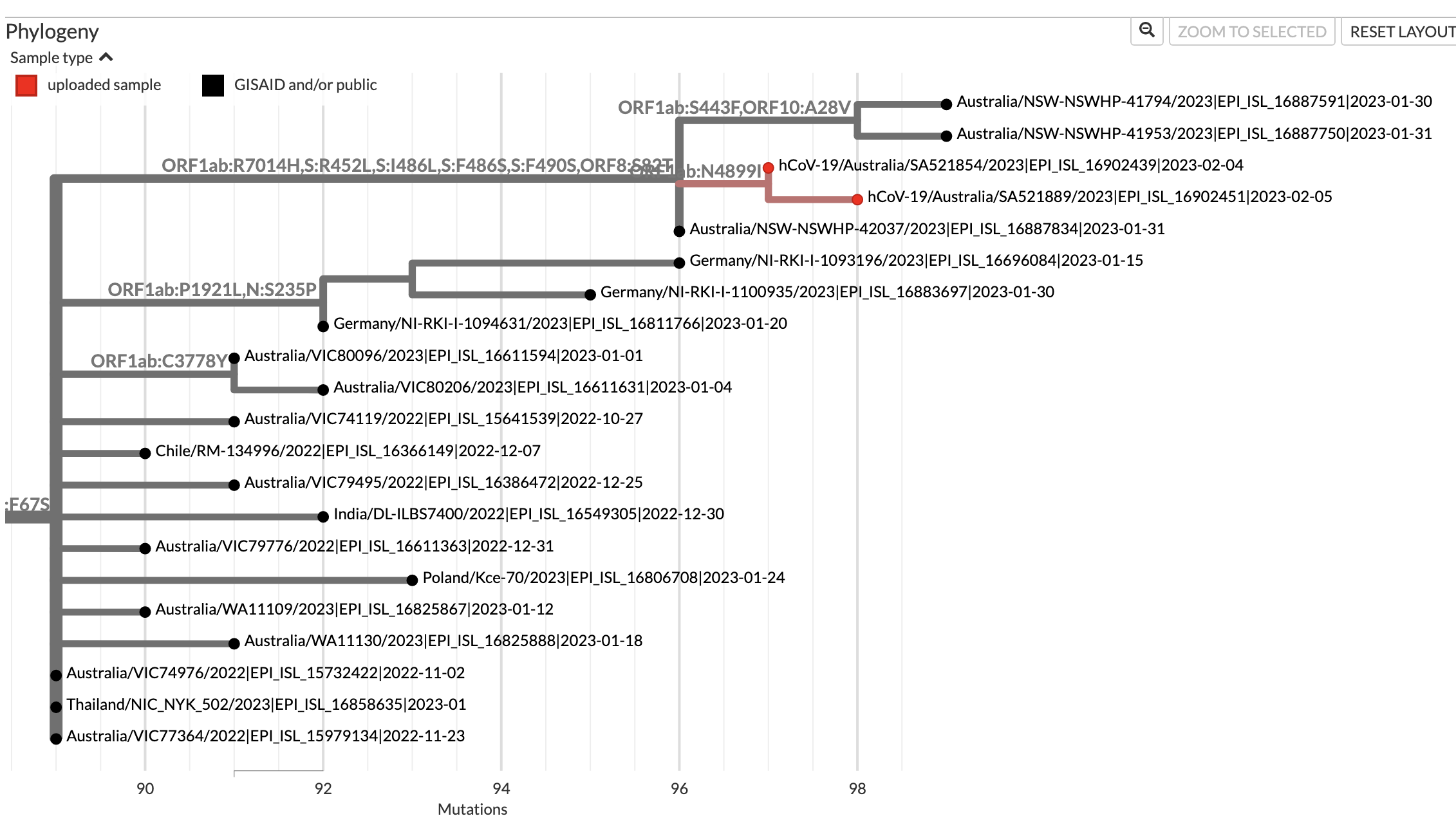 Possible recombinant lineage between BR.2.1 and CJ.1 (or XBF or XBK ...