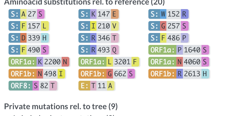 Possible recombinant lineage between BR.2.1 and CJ.1 (or XBF or XBK ...