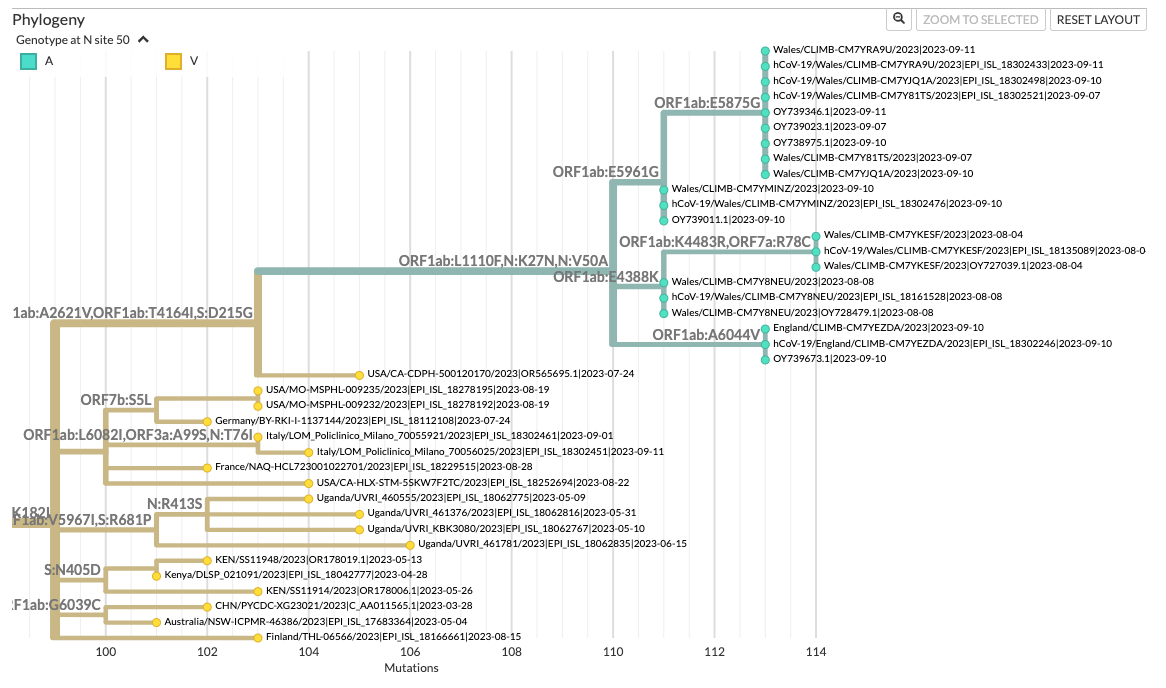 Xbbd XBB.1.34.1 /XBB.1.16 recombinant circulating in Uk (7 seqs) with S ...