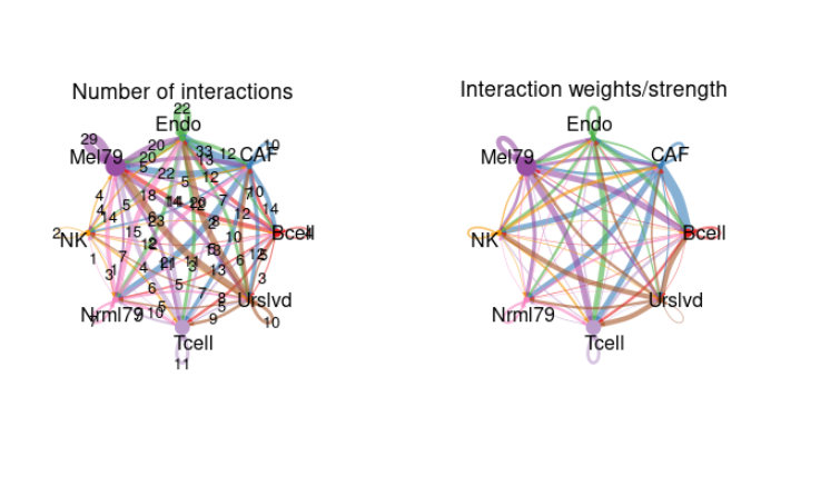 GitHub - balqees-mansour/Single-Cell-RNA-Analysis: perform two data ...